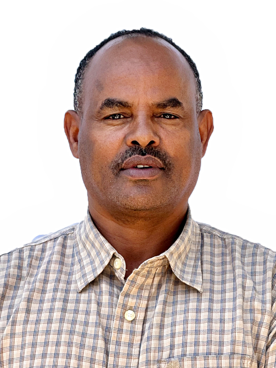 Photo of Ashebir Diriba